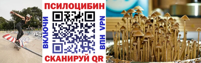 Псилоцибиновые грибы прущие грибы  Петухово 