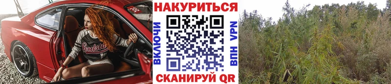 где купить наркотик  Петухово  MEGA вход  Каннабис планчик 